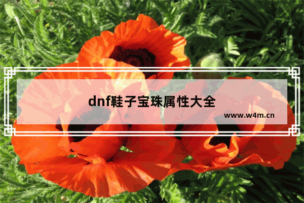 dnf鞋子宝珠属性大全