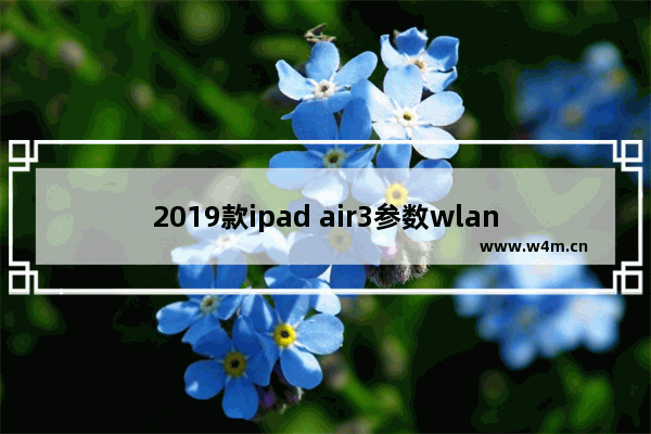 2019款ipad air3参数wlan版