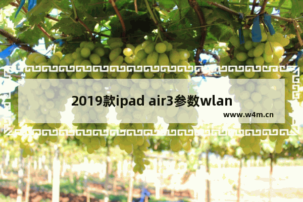 2019款ipad air3参数wlan版