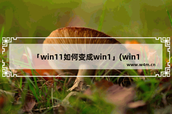 「win11如何变成win1」(win11如何变成win10界面软件)