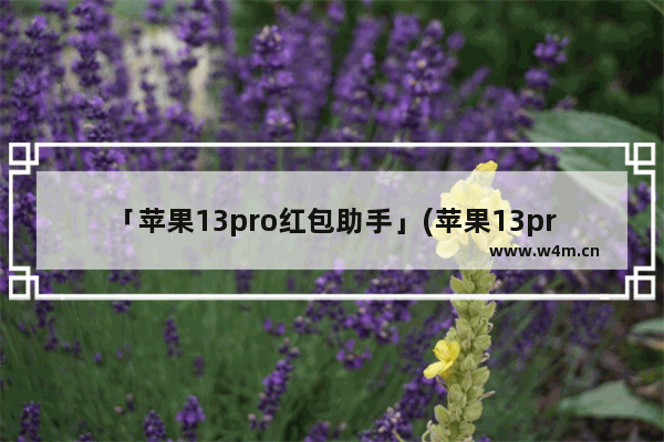 「苹果13pro红包助手」(苹果13pro红包助手自动抢)