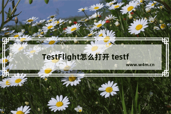 TestFlight怎么打开 testflight怎么打开文件