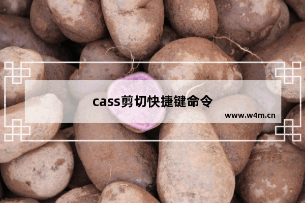 cass剪切快捷键命令