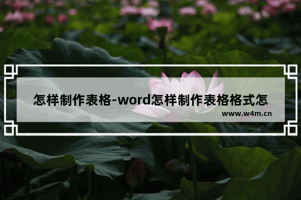 怎样制作表格-word怎样制作表格格式怎么调