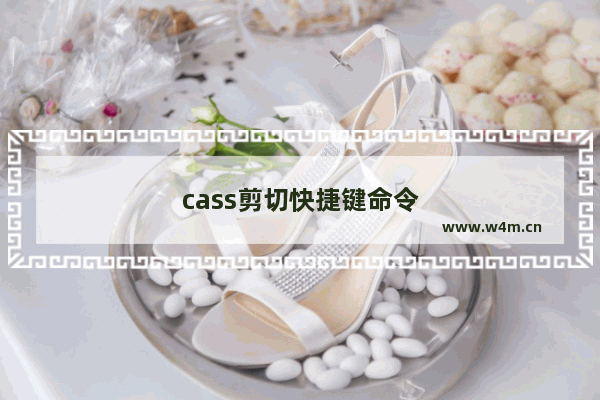 cass剪切快捷键命令