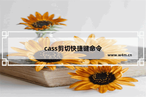 cass剪切快捷键命令