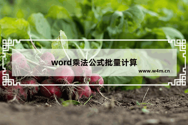 word乘法公式批量计算