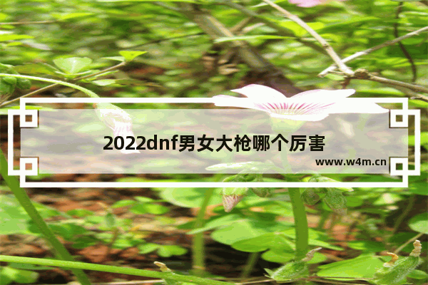 2022dnf男女大枪哪个厉害