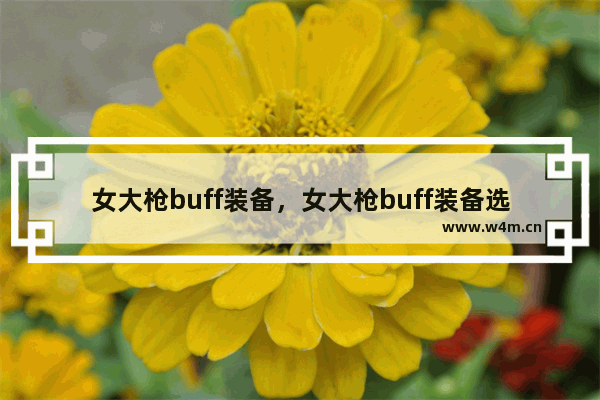 女大枪buff装备，女大枪buff装备选择