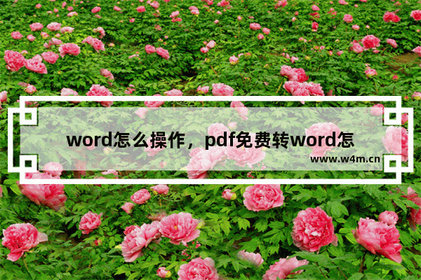 word怎么操作，pdf免费转word怎么操作