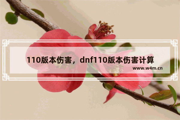 110版本伤害，dnf110版本伤害计算公式