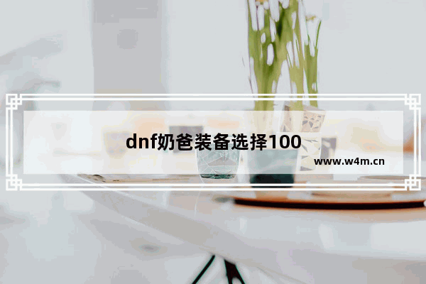 dnf奶爸装备选择100