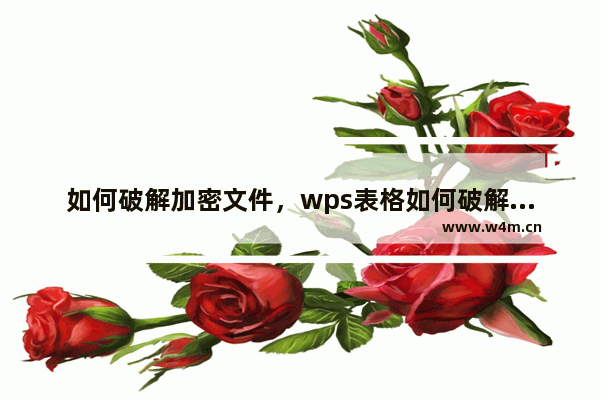 如何破解加密文件，wps表格如何破解加密文件