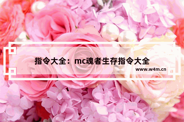 指令大全：mc魂者生存指令大全