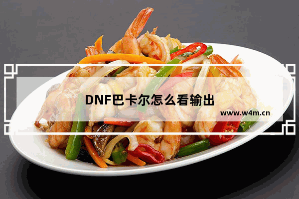 DNF巴卡尔怎么看输出