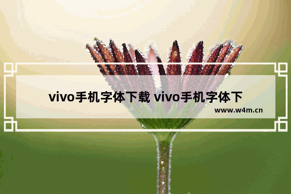 vivo手机字体下载 vivo手机字体下载量最高的要钱