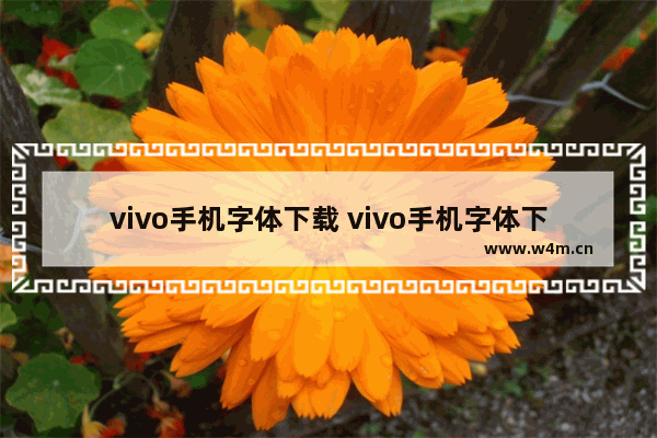 vivo手机字体下载 vivo手机字体下载量最高的要钱