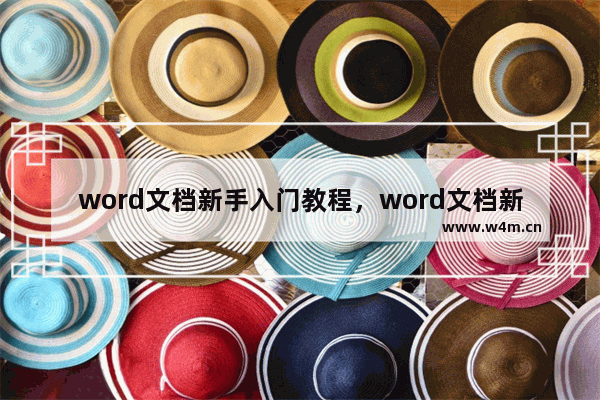 word文档新手入门教程，word文档新手入门教程免费