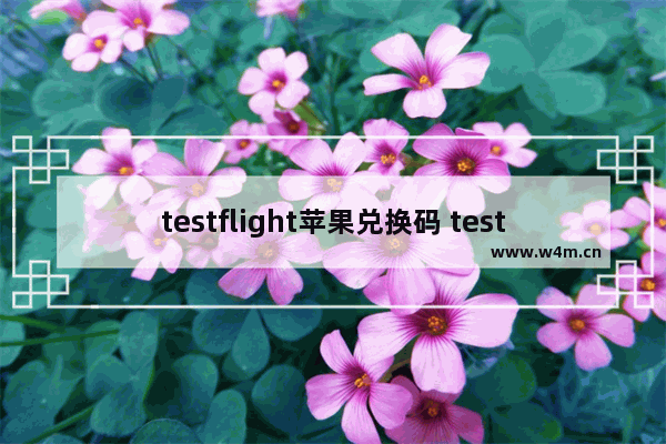 testflight苹果兑换码 testflight苹果兑换码2021大全