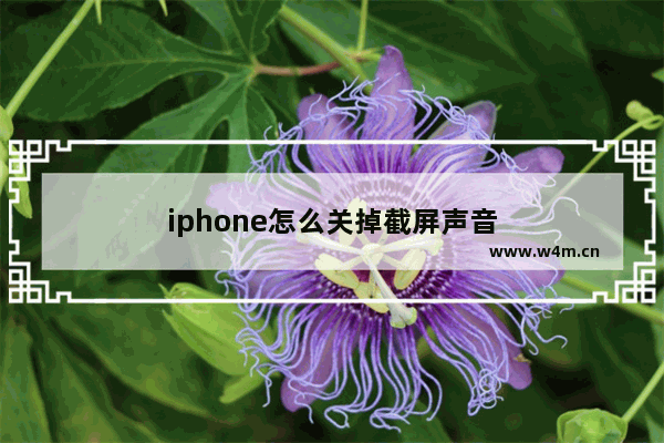 iphone怎么关掉截屏声音