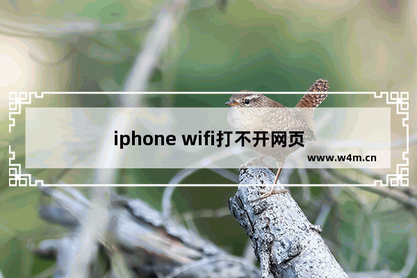 iphone wifi打不开网页