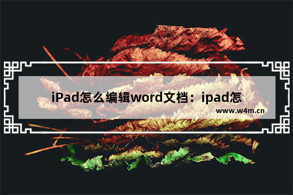 iPad怎么编辑word文档：ipad怎么编辑word文档方便