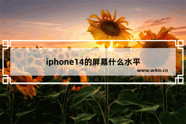 iphone14的屏幕什么水平