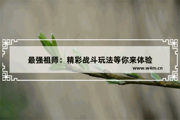 最强祖师：精彩战斗玩法等你来体验