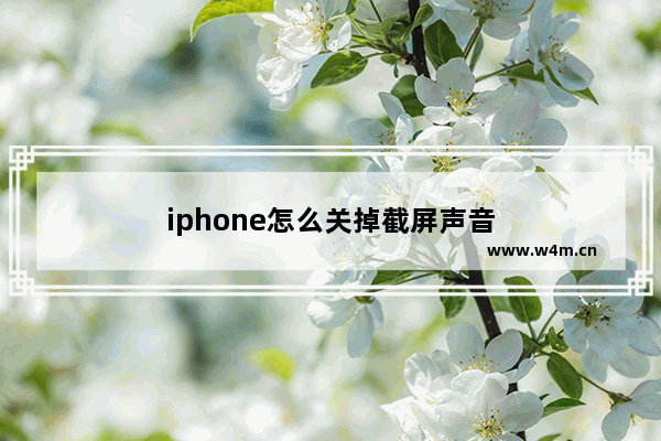 iphone怎么关掉截屏声音