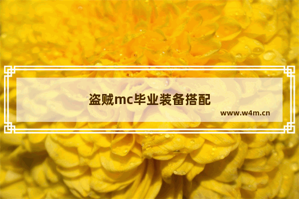 盗贼mc毕业装备搭配