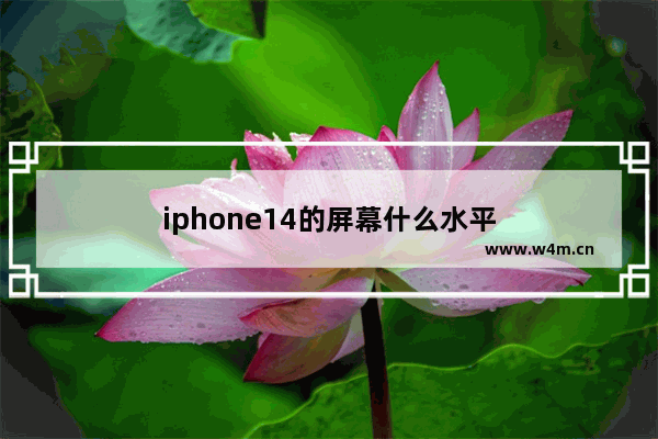 iphone14的屏幕什么水平