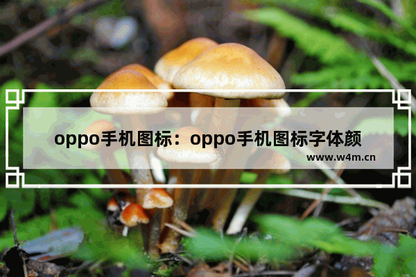 oppo手机图标：oppo手机图标字体颜色修改