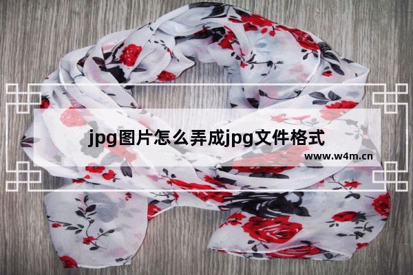 jpg图片怎么弄成jpg文件格式