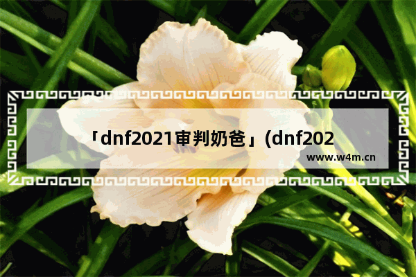 「dnf2021审判奶爸」(dnf2021审判奶爸刷图加点)