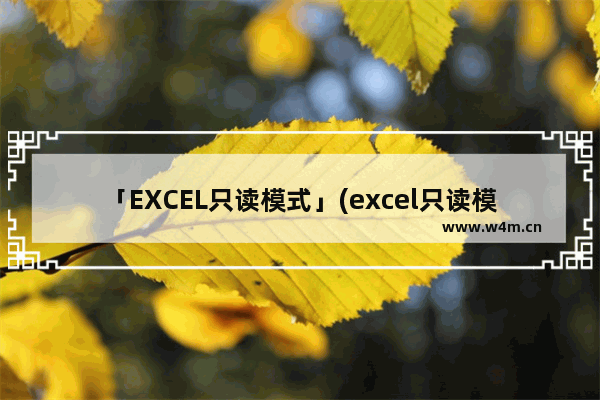 「EXCEL只读模式」(excel只读模式怎么修改为编辑模式)