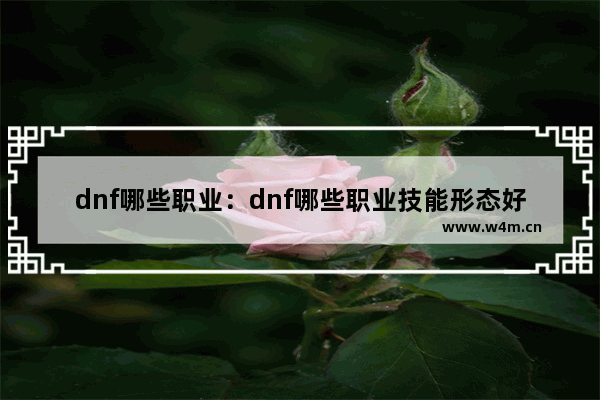 dnf哪些职业：dnf哪些职业技能形态好