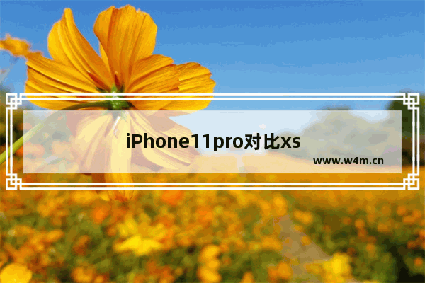 iPhone11pro对比xs