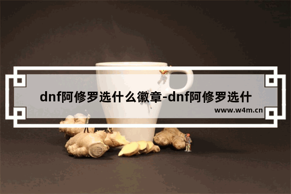 dnf阿修罗选什么徽章-dnf阿修罗选什么徽章裤子