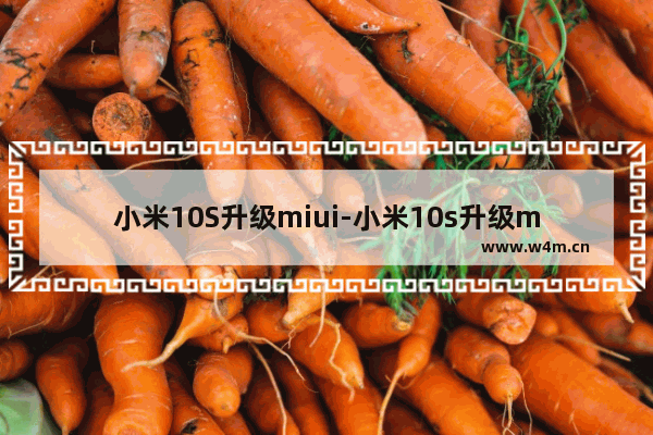 小米10S升级miui-小米10s升级miui13.05