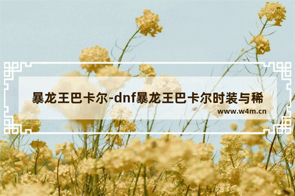 暴龙王巴卡尔-dnf暴龙王巴卡尔时装与稀有