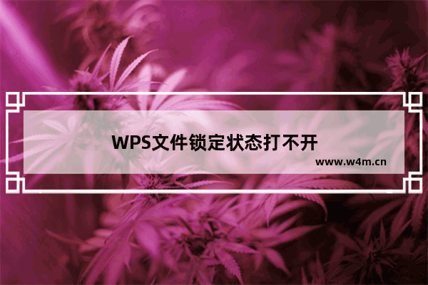 WPS文件锁定状态打不开