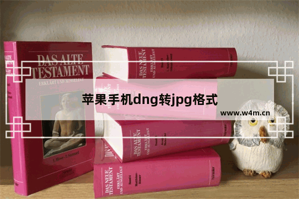 苹果手机dng转jpg格式