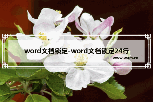 word文档锁定-word文档锁定24行