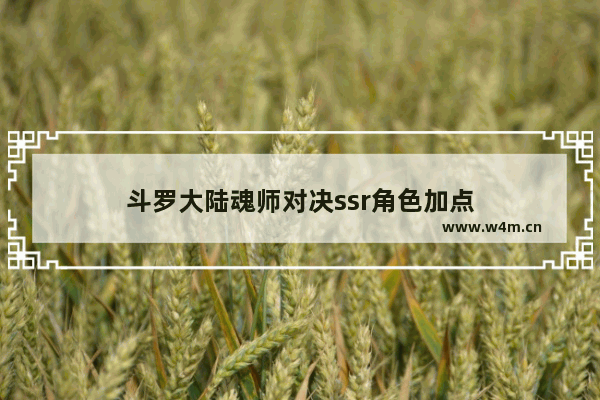 斗罗大陆魂师对决ssr角色加点