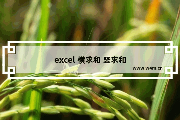 excel 横求和 竖求和