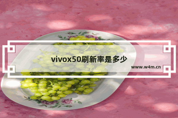 vivox50刷新率是多少