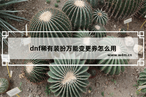 dnf稀有装扮万能变更券怎么用