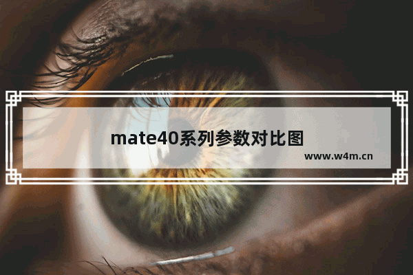 mate40系列参数对比图