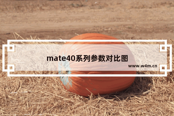 mate40系列参数对比图