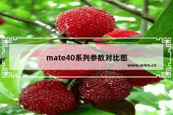 mate40系列参数对比图